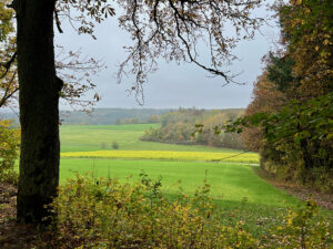 Hochnebel am 27. Oktober über dem Stadtwald bei Ansbach, Blick vom Schönfeldwald nach Süden. Foto Hans-Martin Goede